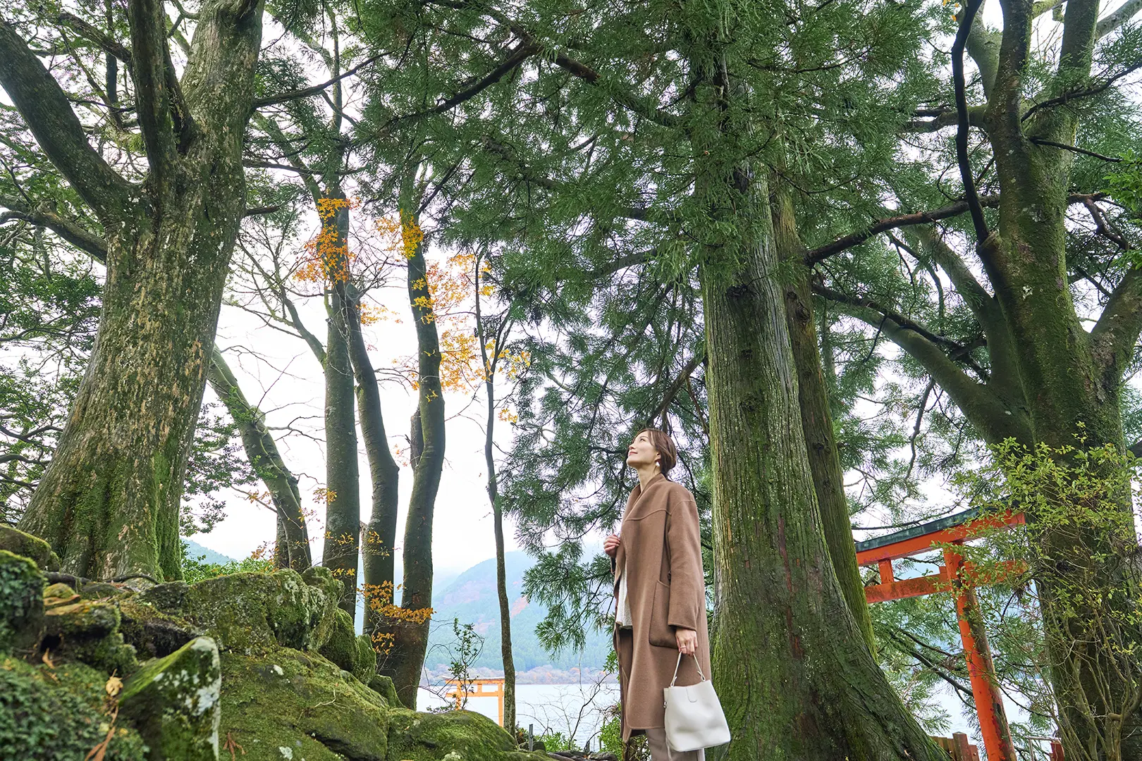 箱根九頭龍の森