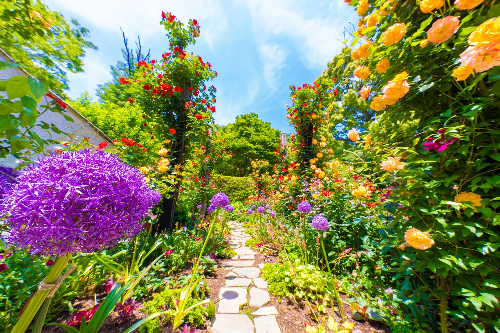 ACAO FOREST(アカオフォレスト)