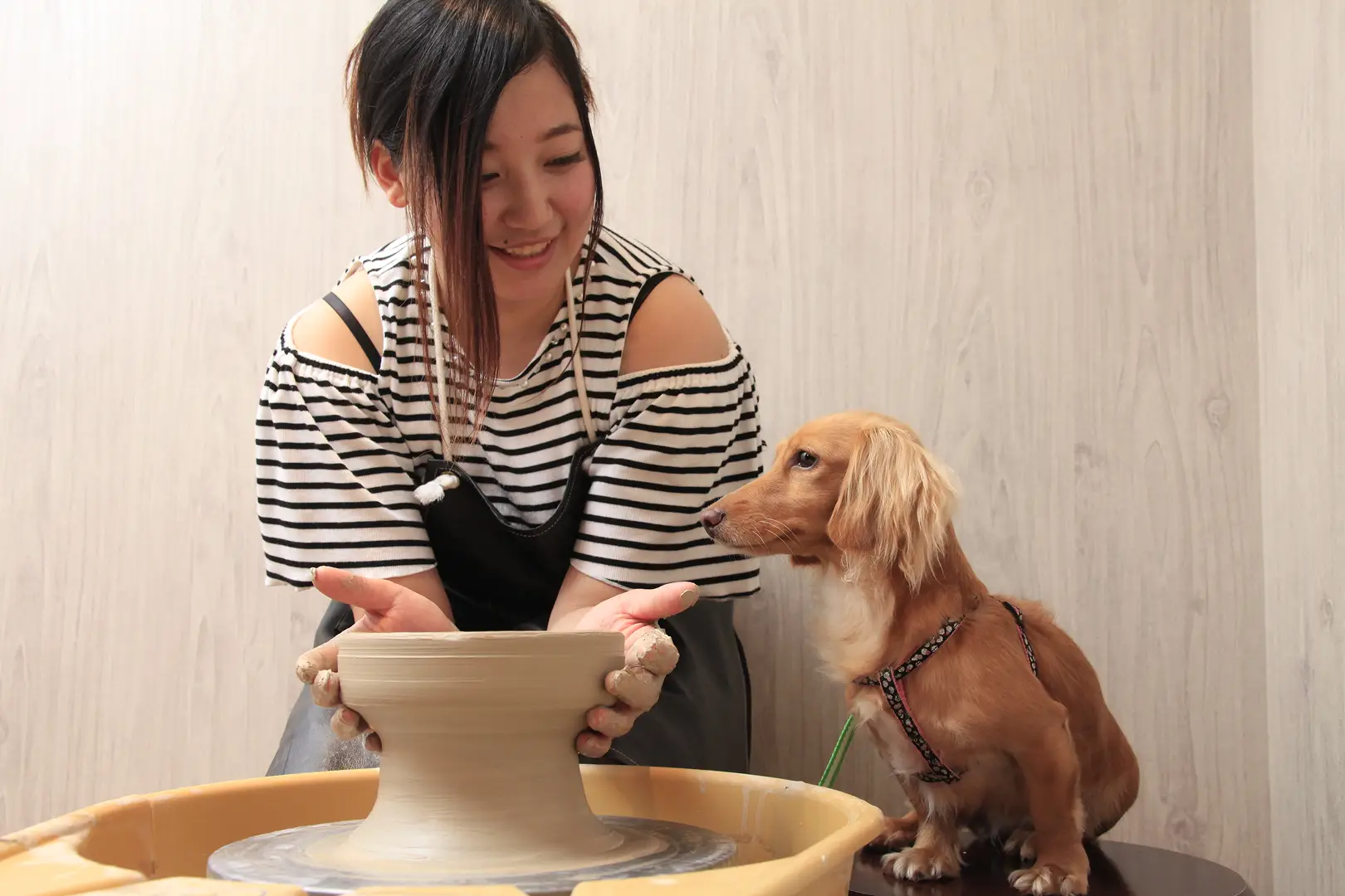 愛犬の駅 伊豆高原
