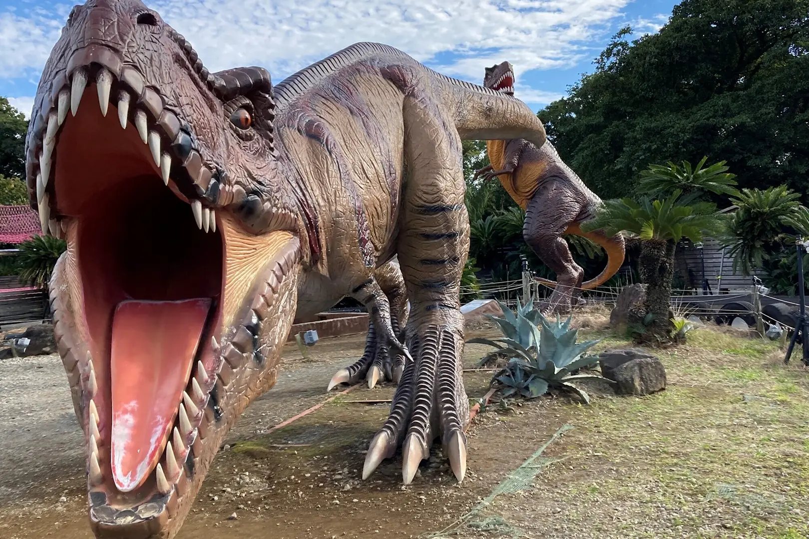 伊豆ぐらんぱる公園