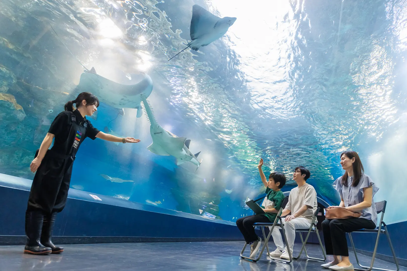 貸し切りの水族館で海の環境問題を学ぶ
