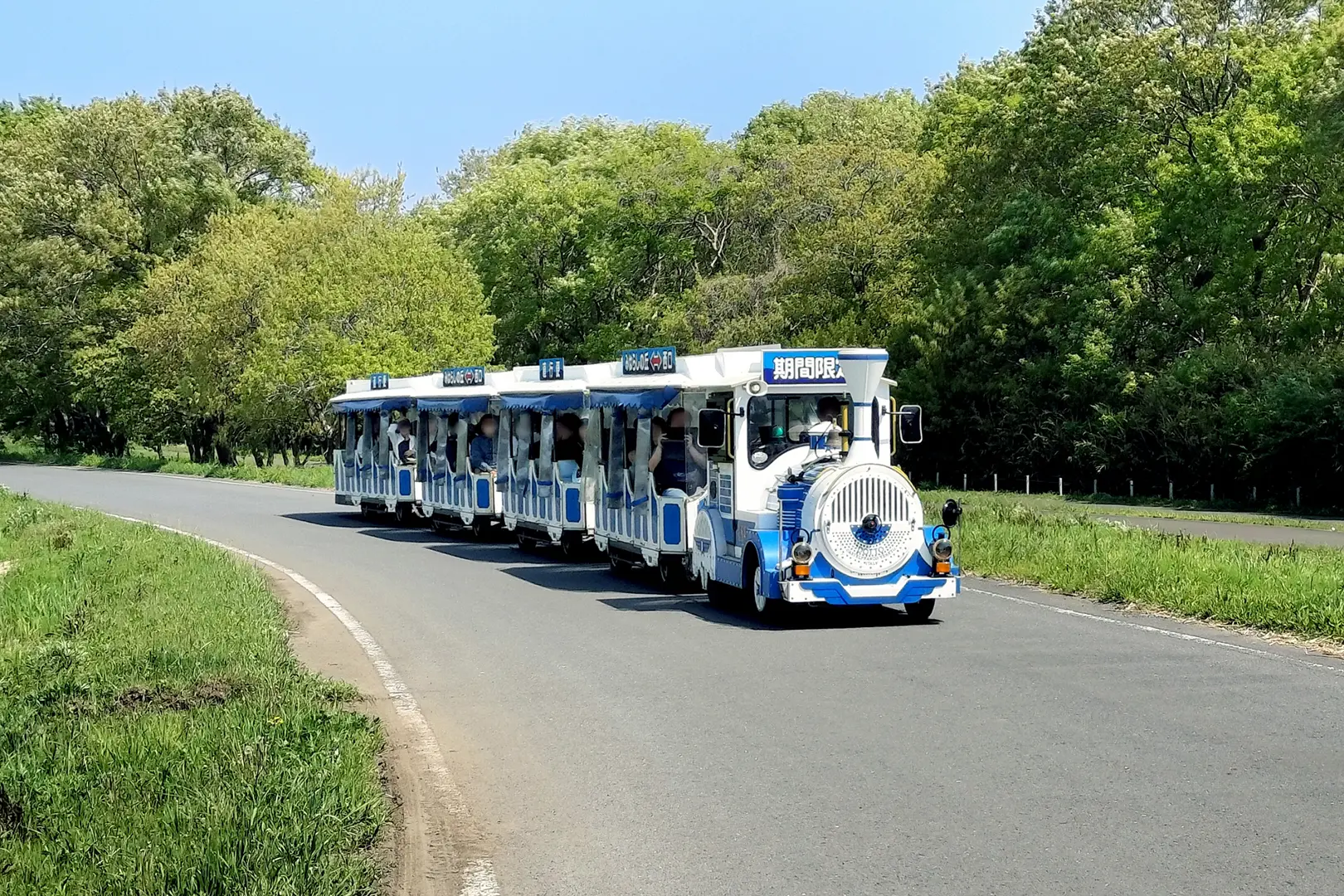 国営ひたち海浜公園（茨城県）