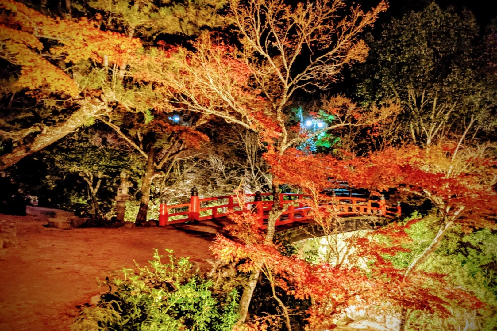 意外と知られていない、宮島・紅葉谷公園のライトアップと紅葉のコラボ