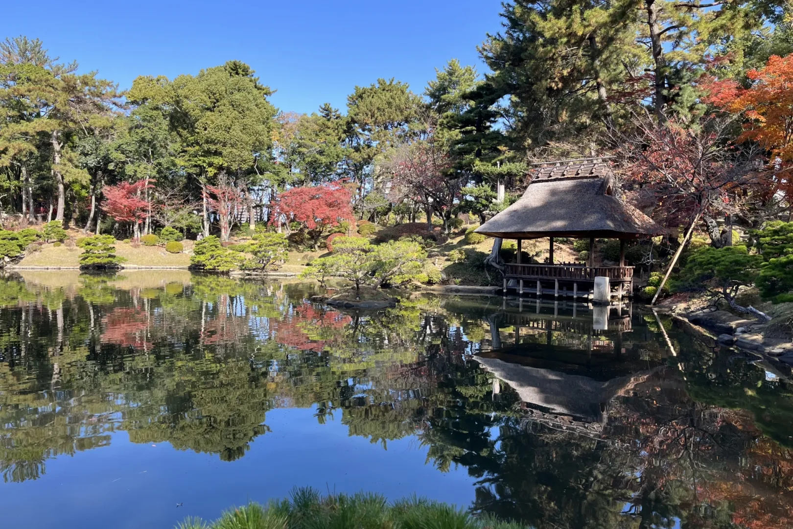 江戸時代から続く歴史と自然豊かな庭園風景