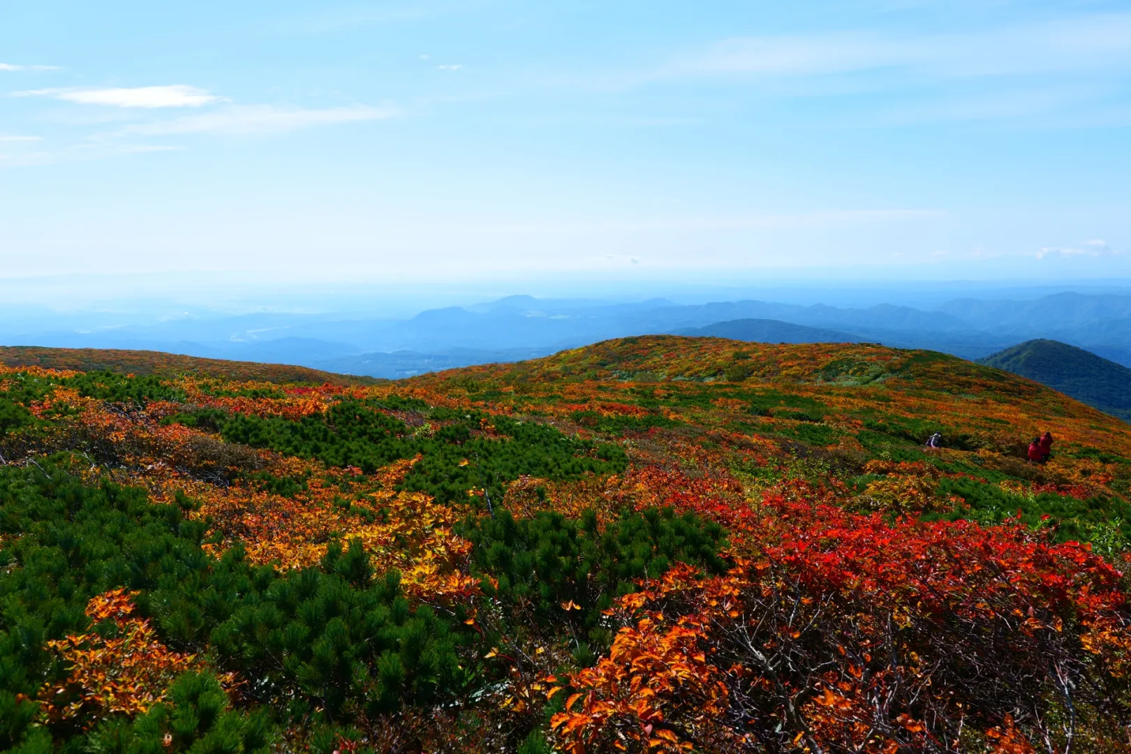 地域によっても違う紅葉が最も美しい時期を把握する