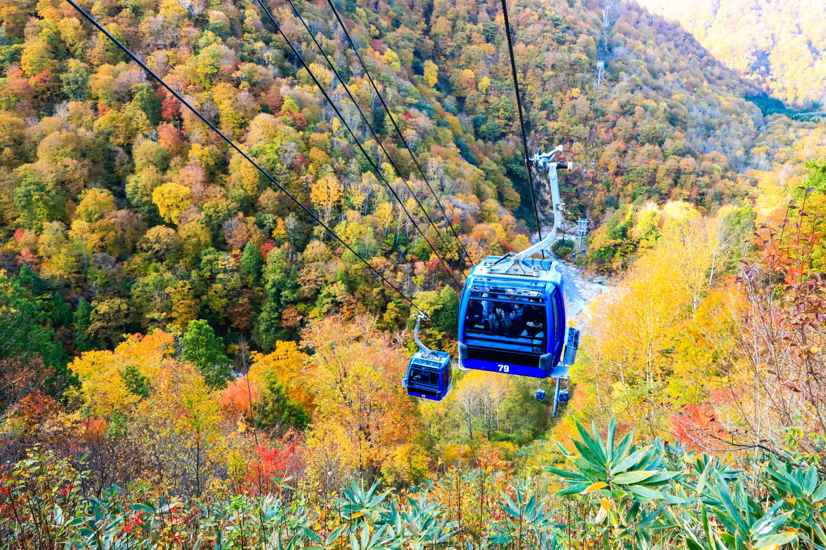 苗場ドラゴンドラ