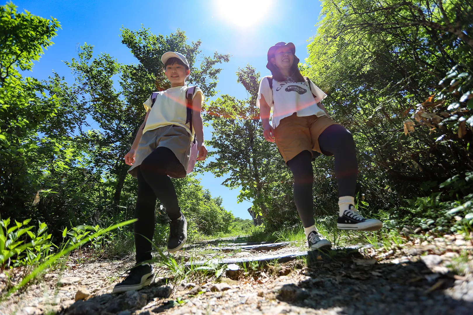 登山レベルを確認する