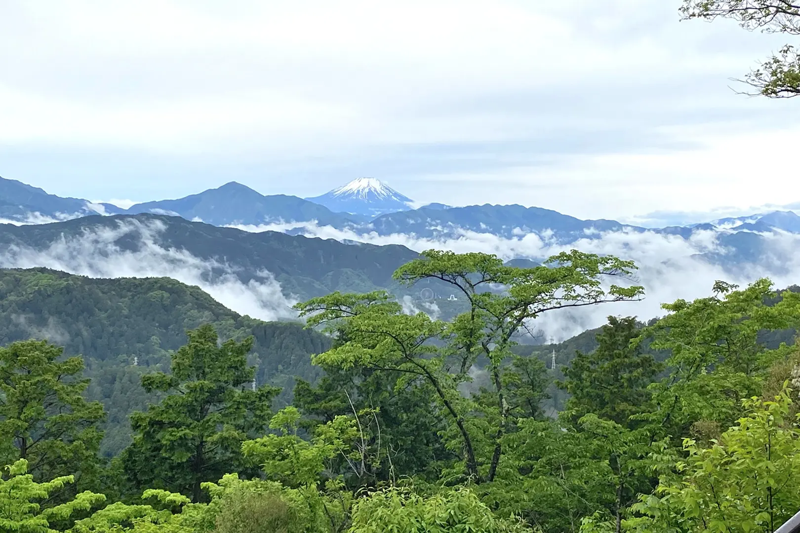 高尾山(東京都)