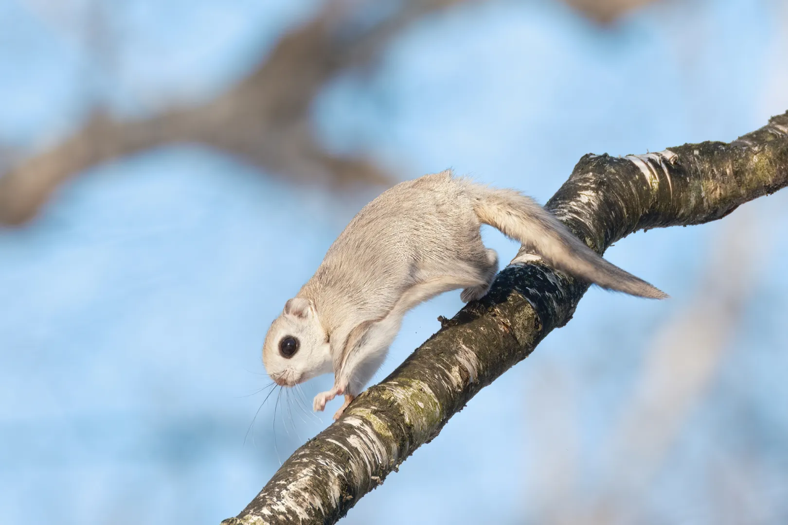 日高山脈襟裳十勝国立公園（十勝）