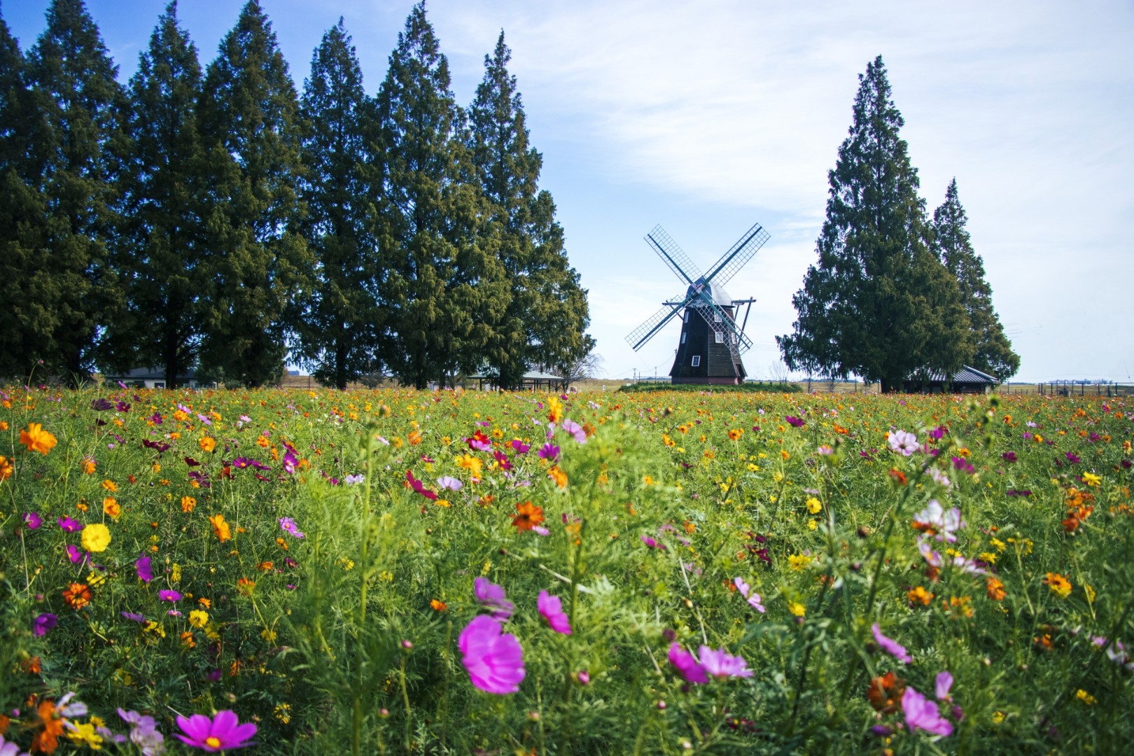 　【千葉】あけぼの山農業公園