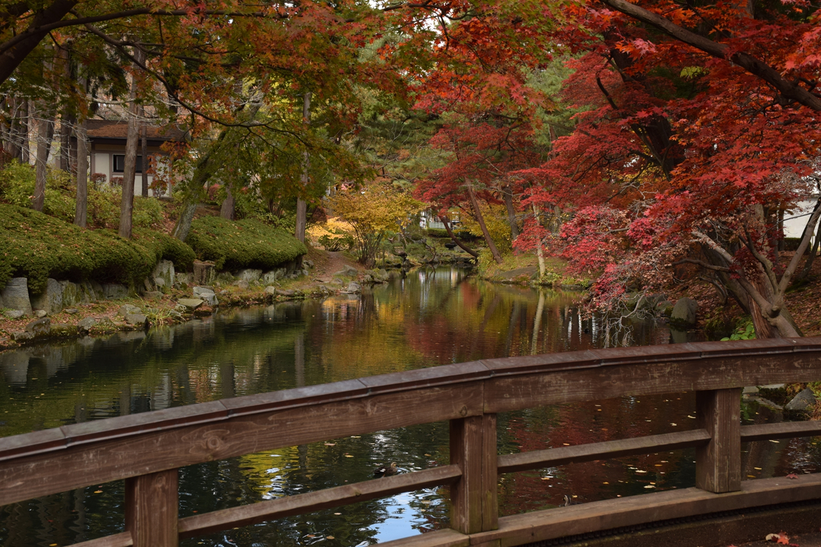 岩手公園(盛岡城跡公園)