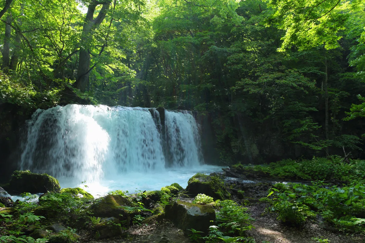 奥入瀬渓流