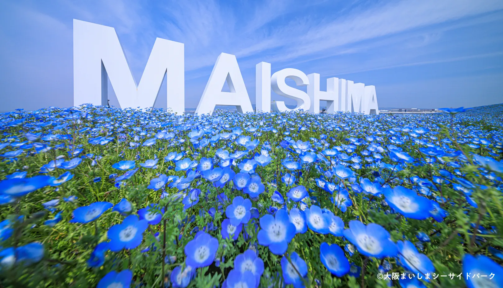 開催期間：2026年4月11日(土)から5月10日(日)