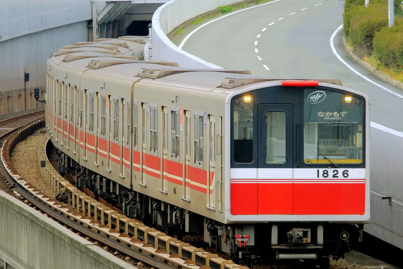 Q. 電車でも行きやすい大阪都心のネモフィラスポットはありますか？