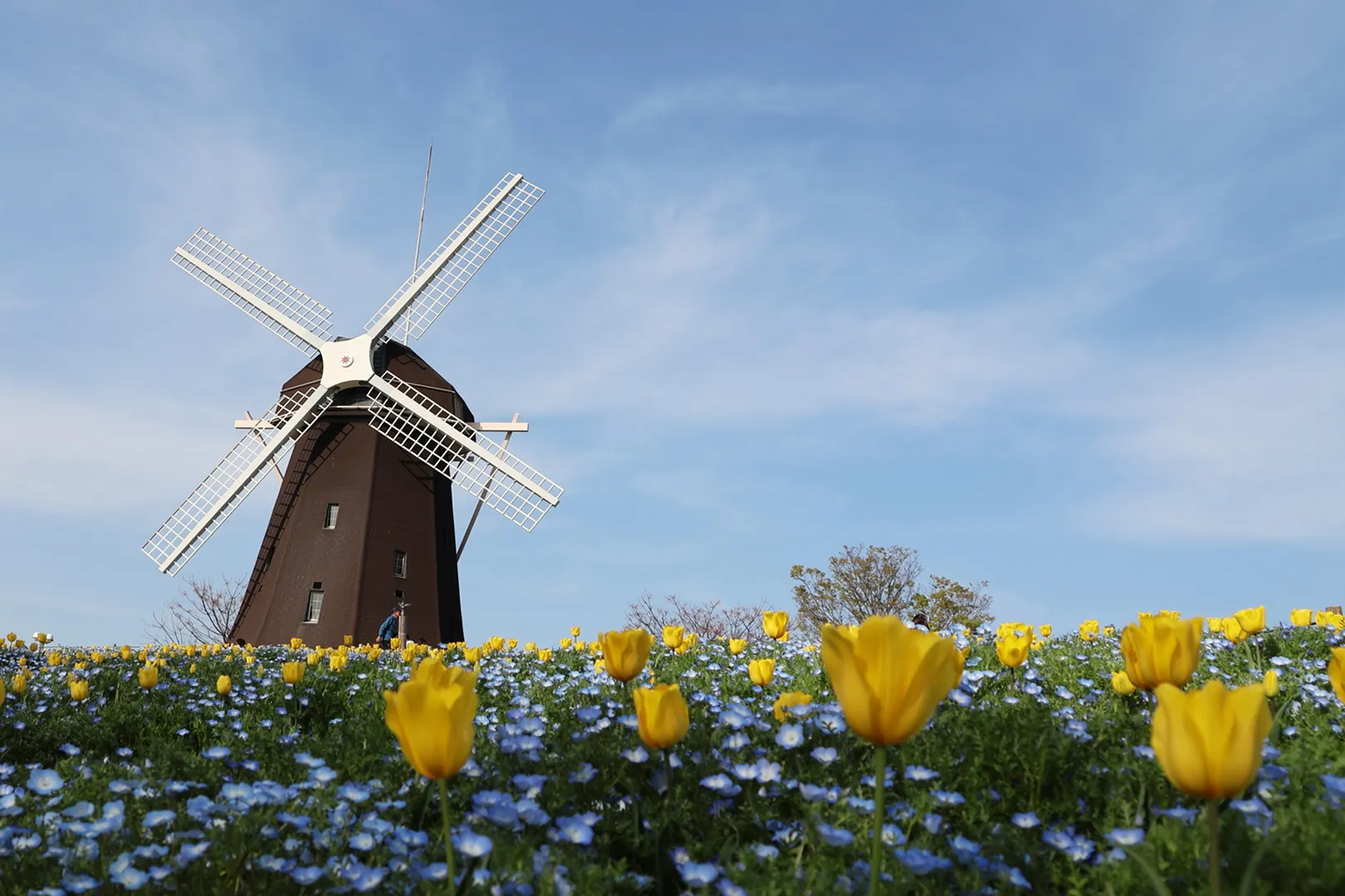 花博記念公園鶴見緑地