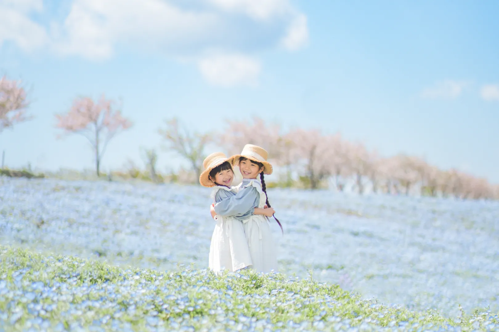 大阪まいしまシーサイドパークより「ネモフィラ祭り2026入場チケット付きステイプランのイメージ」