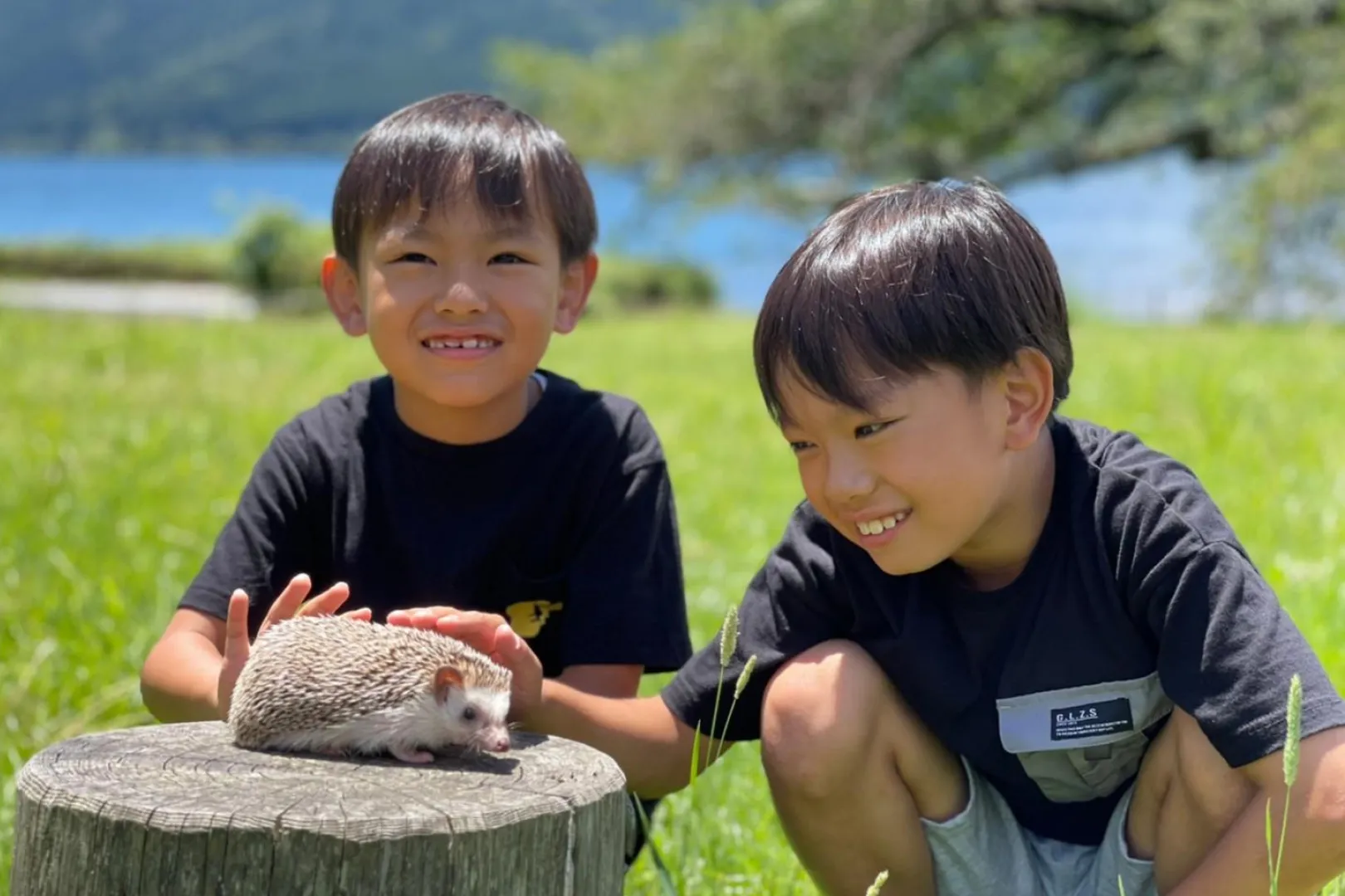 ふれあい どうぶつランド だっこして！ZOO！｜動物と触れ合えるミニ動物園