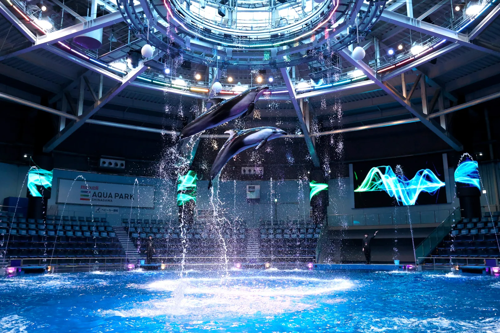 マクセル アクアパーク品川｜テクノロジーを味わう都市型水族館