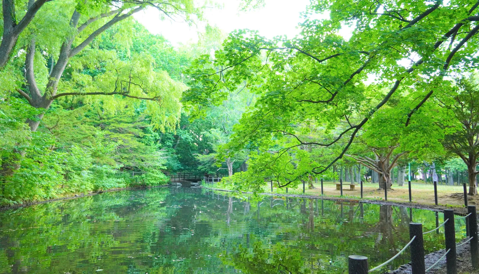 円山公園