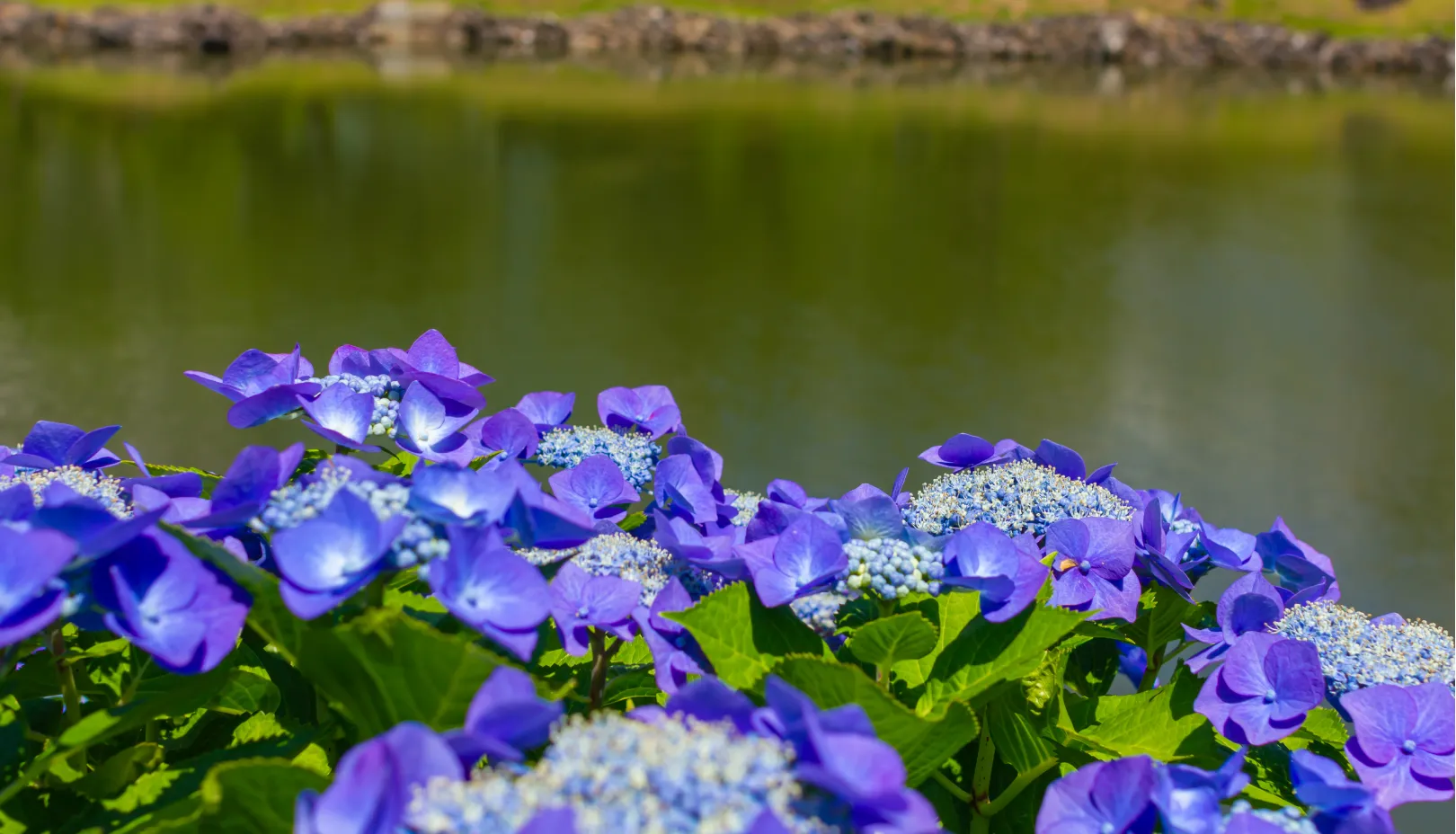 PIXTAより「旧芝離宮恩賜庭園」