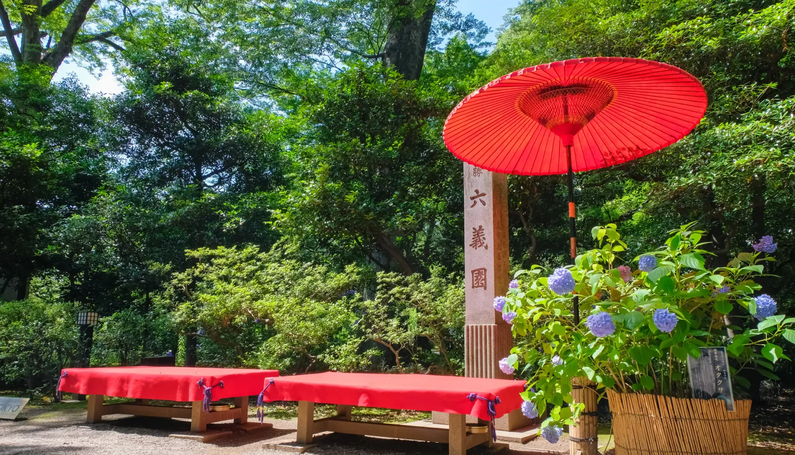 PIXTAより「六義園のあじさい」