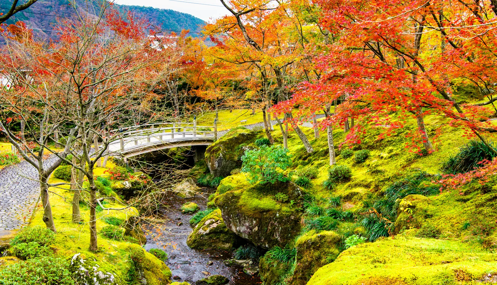 箱根美術館