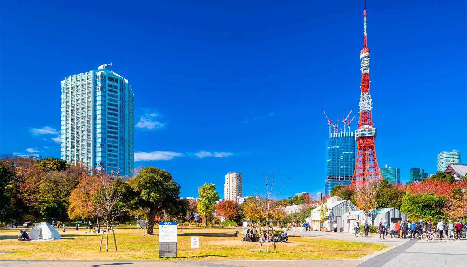 PIXTAより「秋の芝公園の風景」※掲載写真は季節の景観をお伝えするもので、金木犀は写っておりません