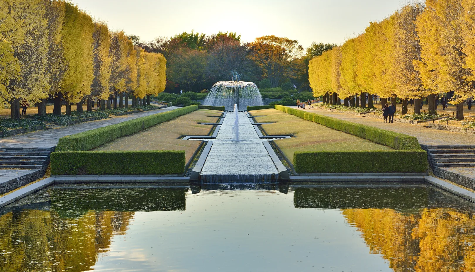 PIXTAより「国営昭和記念公園を黄金色に染めるイチョウ並木」※掲載写真は季節の景観をお伝えするもので、金木犀は写っておりません
