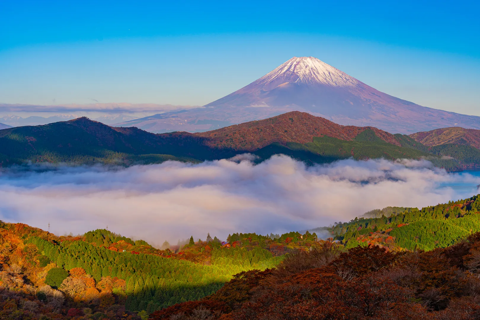 PIXTAより「大観山から望む芦ノ湖の雲海と富士山」