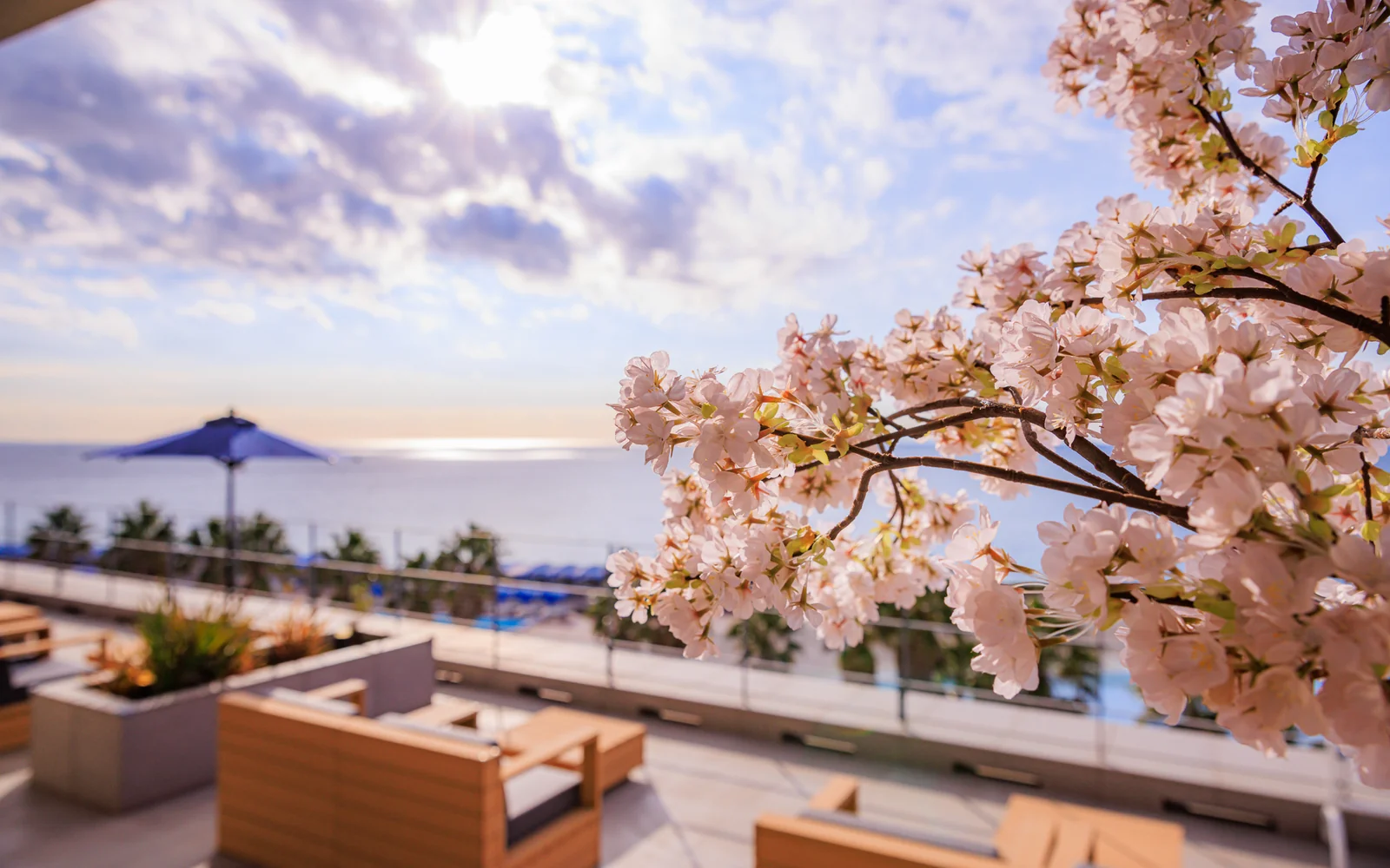 あったかインフィニティ＆海と空と桜に包まれる春の絶景SPA