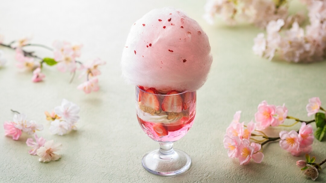 ー海と空と桜にととのう、春。ー