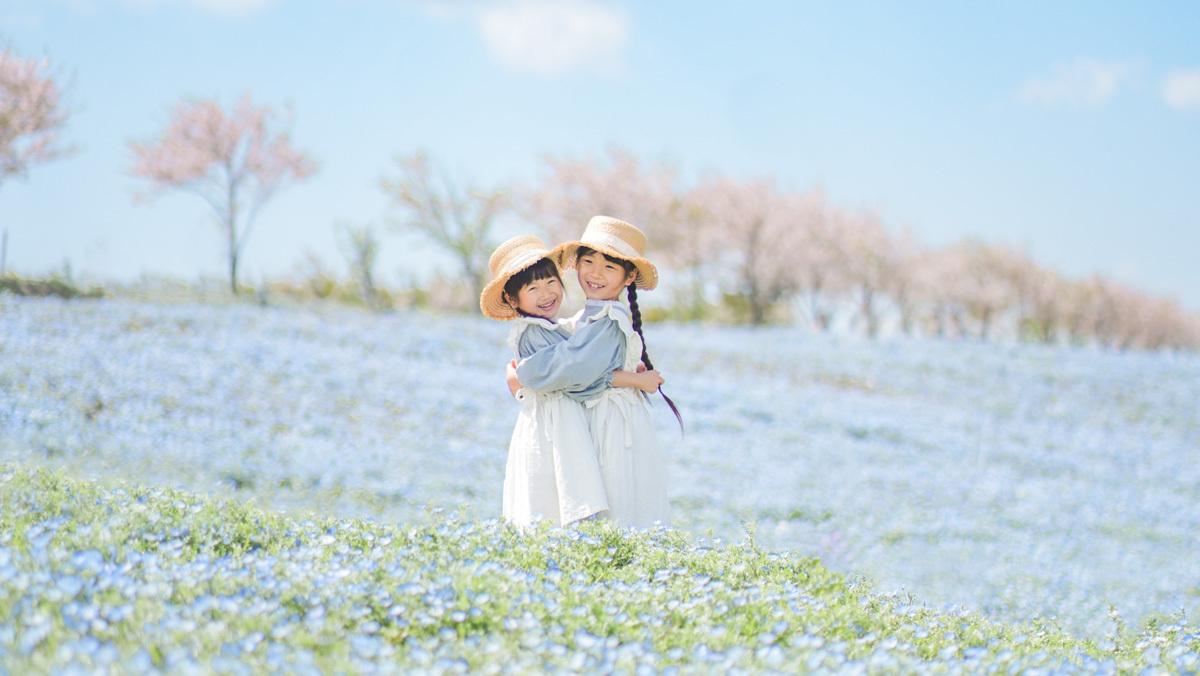 [カップル・ファミリーにおすすめ] 100万株の青に包まれる ネモフィラ祭り2026入場チケット付きステイ
