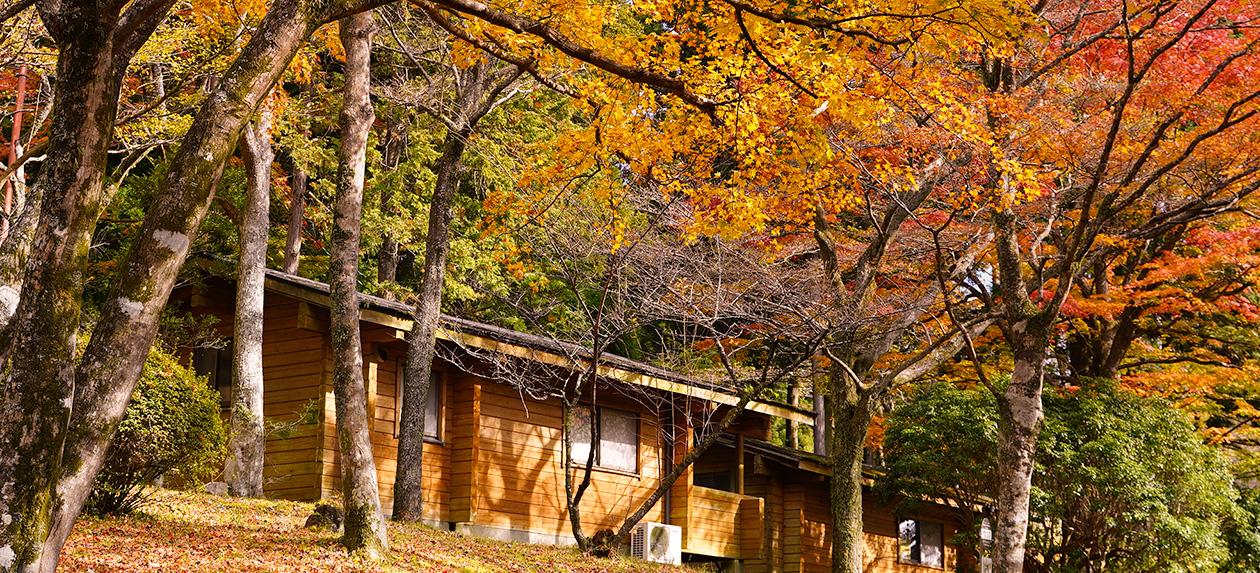 公式サイト 箱根園コテージ ウエスト プリンスホテル 公式サイト 箱根園コテージ ウエスト プリンスホテル