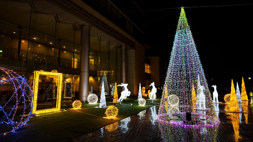 びわプリイルミネーション2025-2026 Magic in Lights