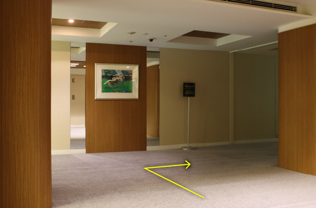 エレベーターホールからユニバーサルルームまでの通路