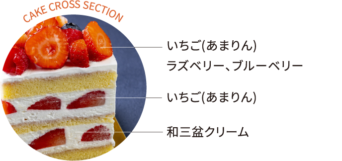 CAKE CROSS SECTION