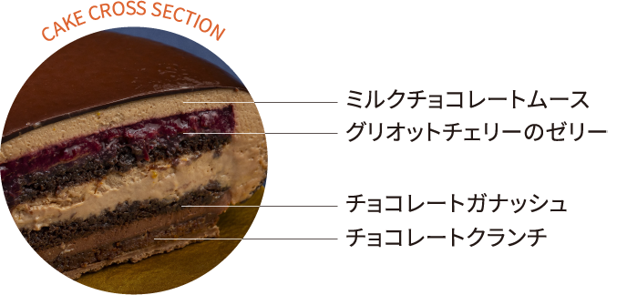 CAKE CROSS SECTION
