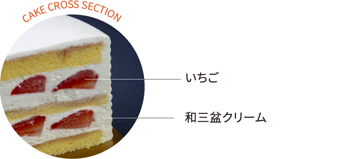 CAKE CROSS SECTION