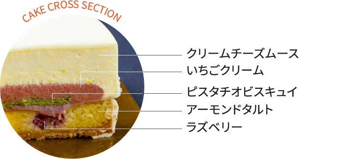 CAKE CROSS SECTION