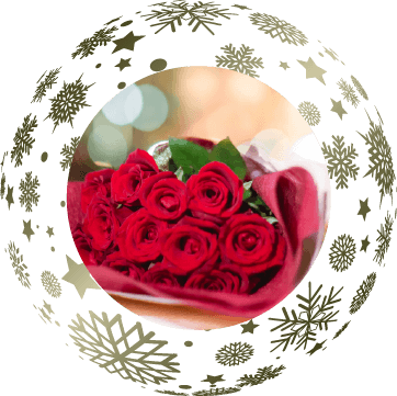 Christmas Propose with Dozen Roses