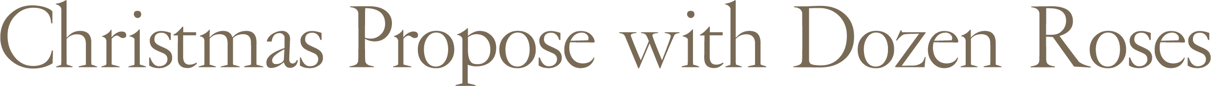 Christmas Propose with Dozen Roses