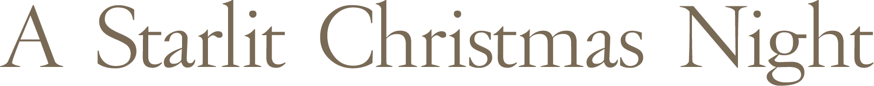 A Starlit Christmas Night