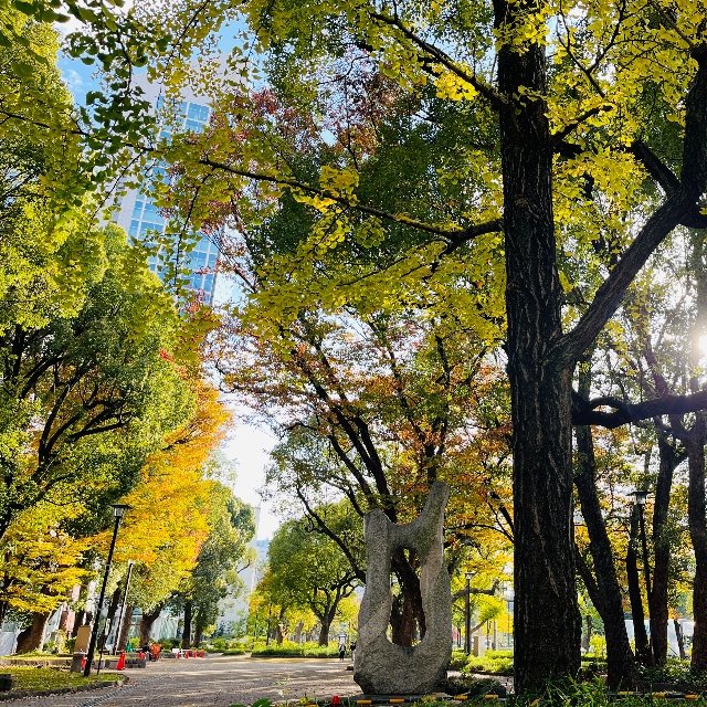 芝公園 10号地
