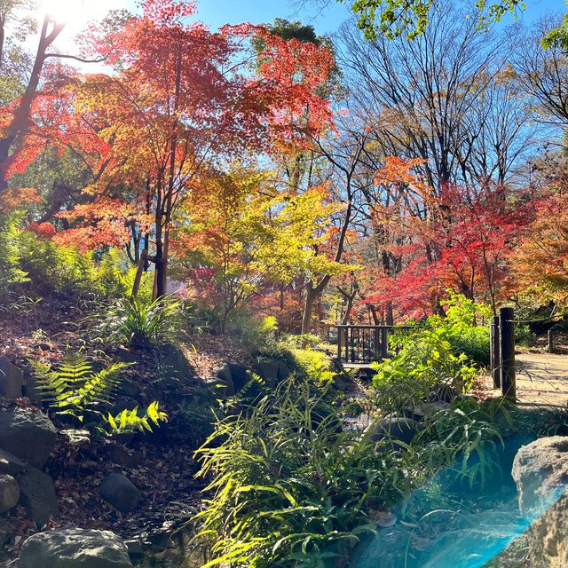 芝公園 19号地