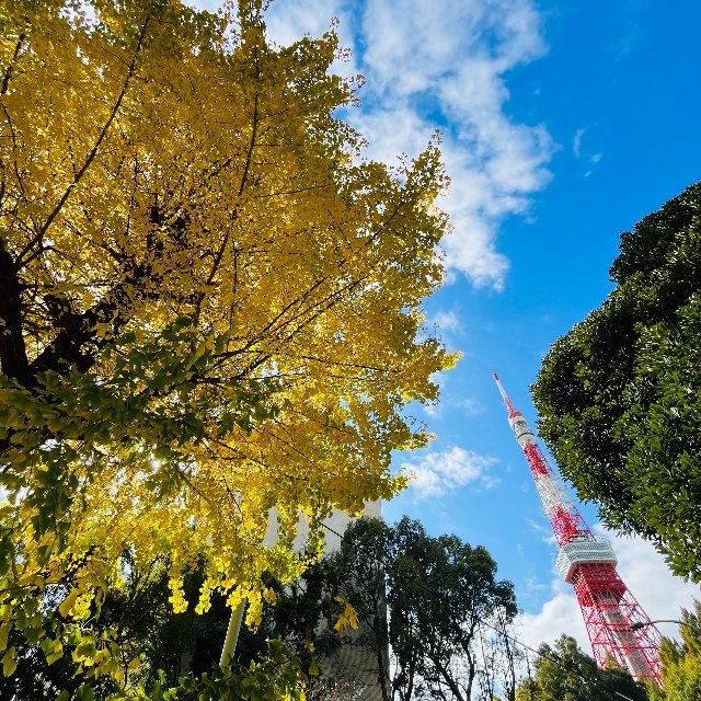 芝公園 23号地