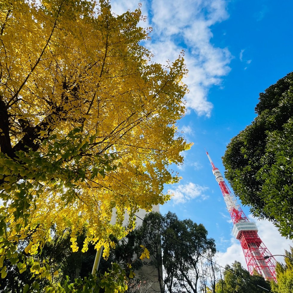 芝公園 23号地 集合広場