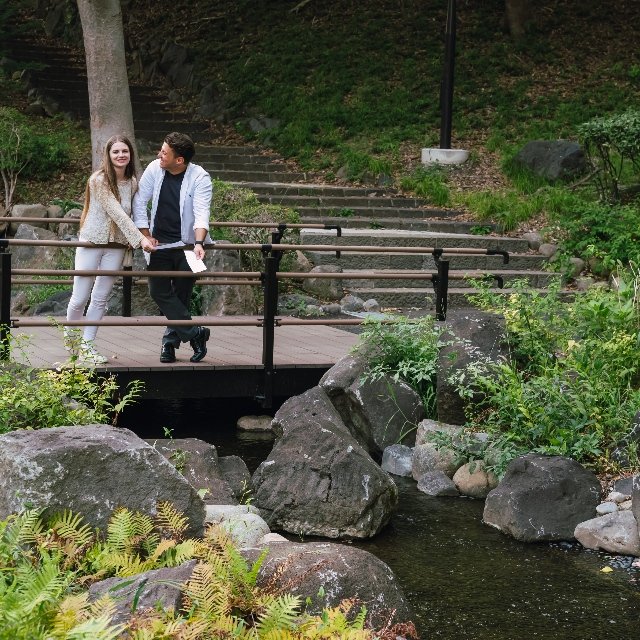 Shiba Park Area 1