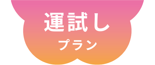 運試しプラン
