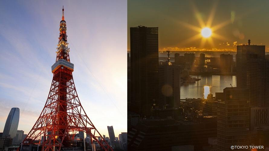 東京タワー　初日の出　チケット　１枚 東京タワー 初日の出 チケット 1枚
