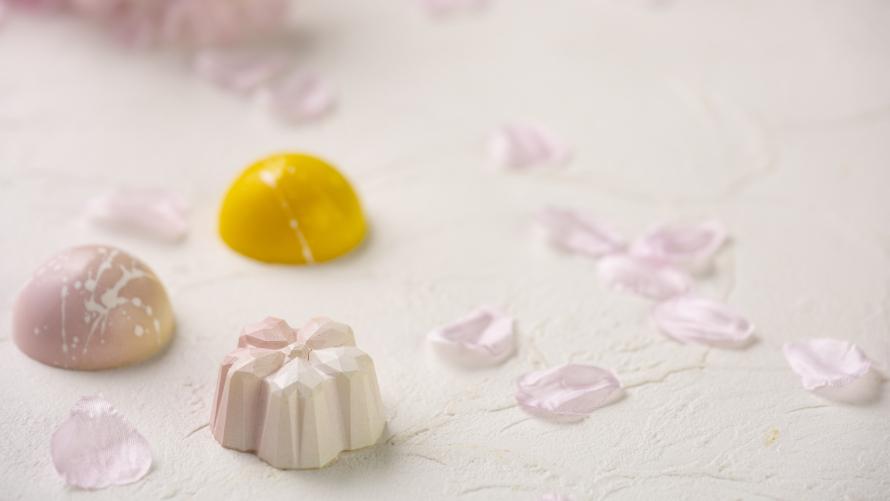 画像はイメージです。